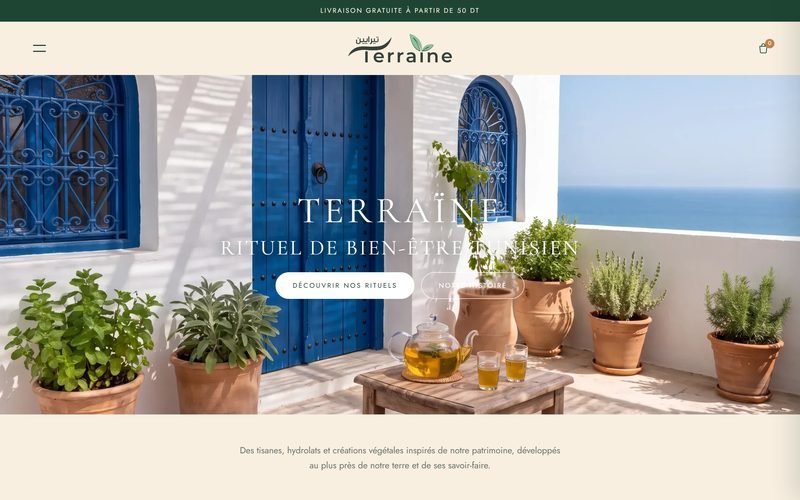 Page d'accueil du site Terraiine